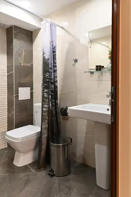 a bathroom with a toilet and a sink at Zlati`s house 2 in Sofia