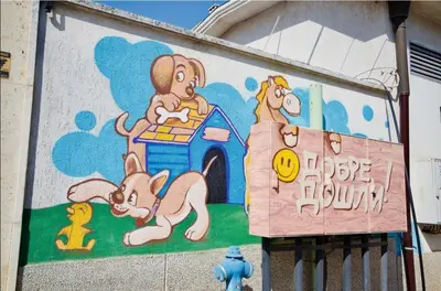 a mural on the side of a building at Къща за гости,, Зафир,, in Sofia