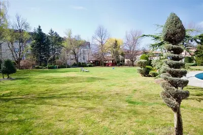 a cone shaped tree in a park with a field at Къща за гости,, Зафир,, in Sofia