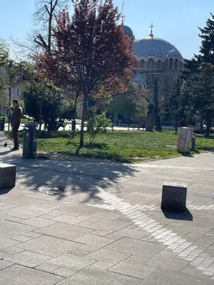 a man standing in a park with a tree at Nice and cozy in Sofia
