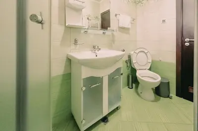 a bathroom with a sink and a toilet at Apartment Aria 5 in Velingrad