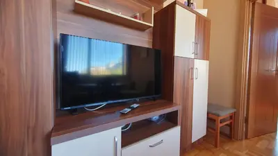 a entertainment center with a flat screen tv in a room at Malina Apart in Plovdiv