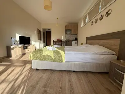 a bedroom with a large bed and a kitchen at Green View Studios in Sandanski