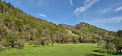 a green field with a mountain in the background at Къща за гости Брязово in Ribarica
