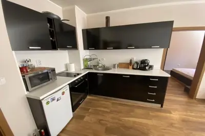 a kitchen with black and white appliances in a room at Spacious modern 1BR apartment near the gondola in Bansko