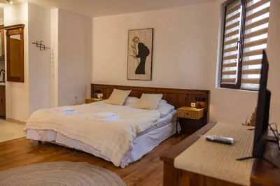a bedroom with a bed and a television in it at Flat in Bansko 5m walk to gondola in Bansko