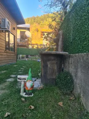 a statue of a chicken sitting next to a fountain at Къща за гости Джерман Guest house Dzherman in Sapareva Banya