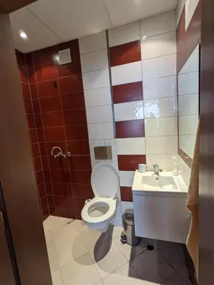 a bathroom with a toilet and a sink at Lovely 1-bedroom Apartment with Mountain View in Bansko