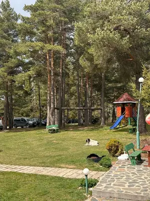 a dog laying in a park with a playground at Парк-хотел Родопи in Churen