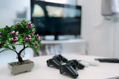 a potted plant sitting on a table next to a television at Top Center - 2 min from NDK in Sofia