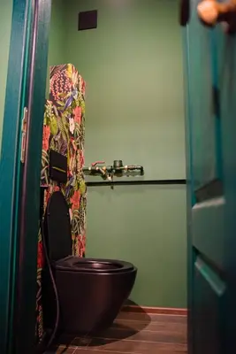 a bathroom with a black toilet in a green room at Wonderland Rooms for Rent in Sofia