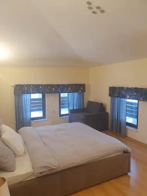 a bedroom with a bed and a couch and windows at Apartment Sunny in Pamporovo