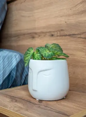 a white vase with a plant in it on a table at Exotic apartment in Sofia