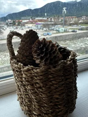 a basket filled with pine cones sitting on a window sill at Bansko Gondola Apart in Bansko