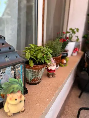 a counter with potted plants on a window sill at The Nest Above Sofia Studio in Sofia