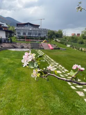 a branch of a tree with pink flowers in a yard at Villa YoSi - rooms in Sapareva Banya