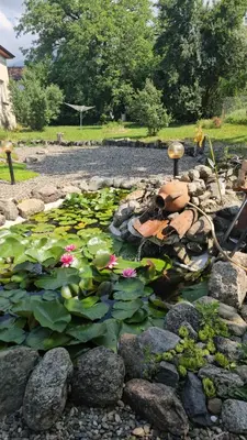 a pond with a bunch of plants and flowers at Balkan Barn in Tŭzha