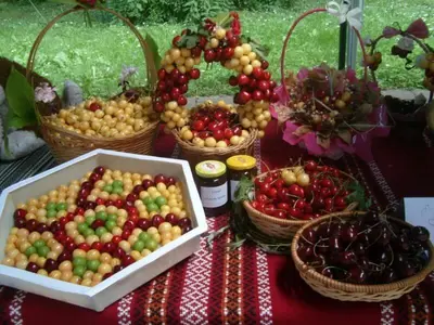 a table topped with baskets of fruits and vegetables at Unique flat with balcony in the heart of the city in Kyustendil