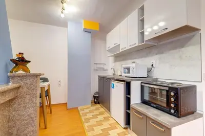 a kitchen with a stove and a microwave at Colorful Retreat - 1BD next to the slopes by Flat Manager in Pamporovo