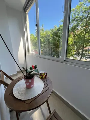 a table with a potted plant on it in a room with windows at Giza Cozy 1BDR w WiFi near Arena 8888 and SofiaMed in Sofia
