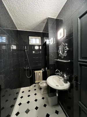 a black and white bathroom with a sink and a toilet at Sofia Harmony Apartment in Sofia