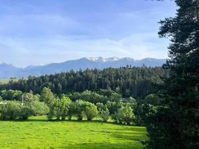 a green field with trees and mountains in the background at Alpine View Villa in Razlog
