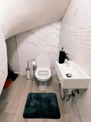 a bathroom with a toilet and a sink at Alpine View Villa in Razlog