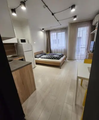 a large room with a bed and a kitchen at Sunny Day in Sofia