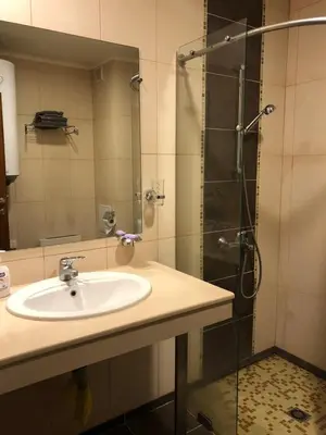 a bathroom with a sink and a shower at Panorama Apartment in Pamporovo