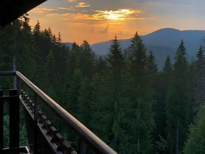 a view of a forest of trees at sunset at Panorama Apartment in Pamporovo