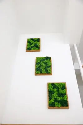 a group of framed photographs on a wall in a room at Free parking, Close to Subway, Central location in Sofia