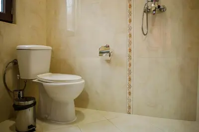 a bathroom with a toilet and a shower at Yoneda Houses in Sapareva Banya