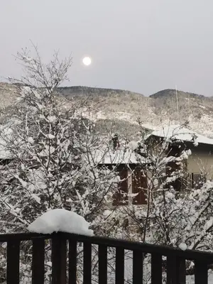 a tree covered in snow next to a fence at Кулинарна къща за гости СОФРИЦА in Hvoyna