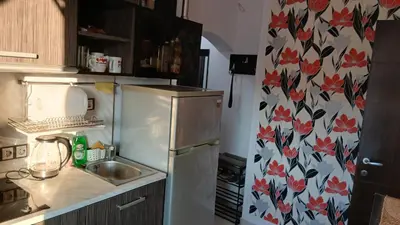 a kitchen with a refrigerator and a sink at Studio Kalo in Sofia