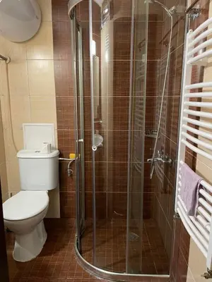 a bathroom with a toilet and a glass shower at Eleonor Mountain Apartment 2 in Bansko