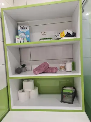 a green and white shelf in a bathroom with toiletries at Cosmopolitan in Devin