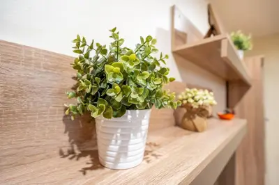 a white vase with a plant sitting on a counter at Spacious and Central Retreat in Sofia