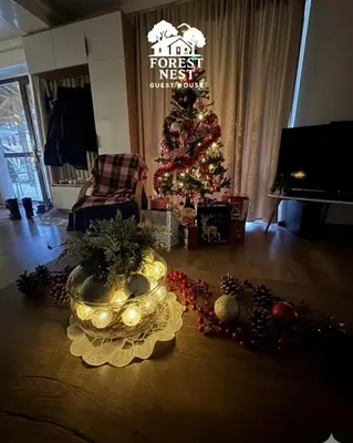 a living room with a christmas tree and a table at Forest Nest in Krayni Dol