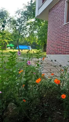 a garden with flowers in front of a brick building at Villa Dream in Dobrevtsi
