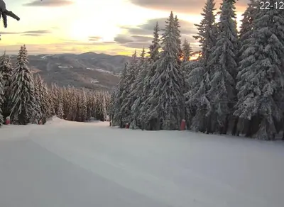 a group of trees covered in snow with the sunset in the background at Aпартамент за гости SKI DREAM Grand Monastery-Пампорово in Pamporovo