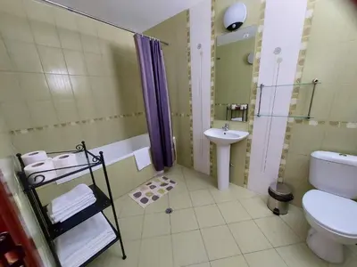 a bathroom with a sink and a toilet and a shower at 19 Rose in Bansko