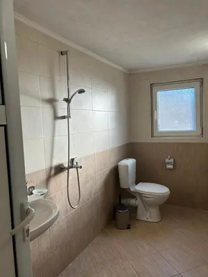 a bathroom with a shower and a toilet and a sink at The Old Cherry House in Razlog