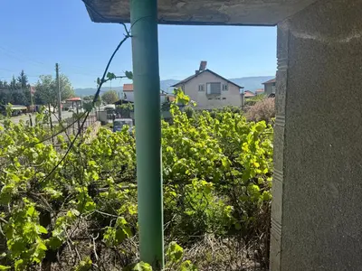 a green pole in a field of plants at Pazardzhik Shelter House 3 Empty Rooms, No Electric, No Water, No WC, Free Car Parking, Glavinitsa Self Check-in