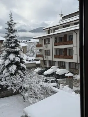 a snow covered tree in front of a building at Luxury Studio2 in Hotel Friends in Bansko