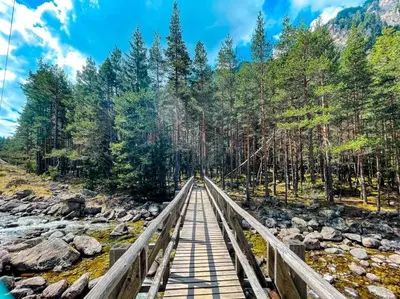a wooden bridge over a river in a forest at Chamkoria Forest View & Spa Apartment in Borovets