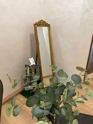 a mirror and a potted plant in front of a room at Just a Dream - guest apartments in Troyan