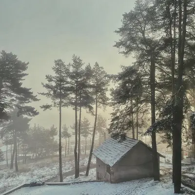 a small house in the snow next to some trees at Premium Studio Apartment in Private Villa Nisim in Batak