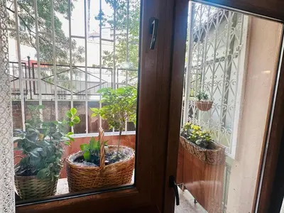 a door with three potted plants on a balcony at Retro Gem in Sofia