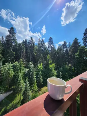 a cup of coffee sitting on top of a wooden rail at Borovets Violet by Ski slopes in Borovets