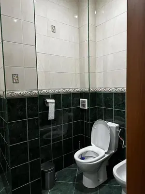 a bathroom with a toilet and a sink at Семеен хотел МАКСИМ in Teteven